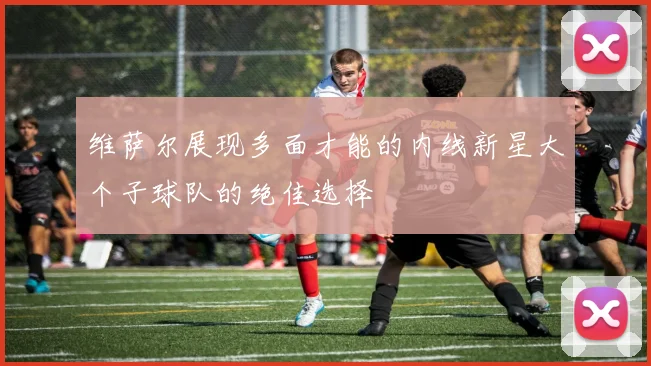 维萨尔展现多面才能的内线新星大个子球队的绝佳选择