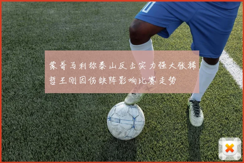 蒙哥马利称泰山反击实力强大张稀哲王刚因伤缺阵影响比赛走势